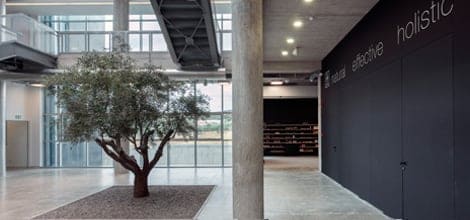 Запущено производственное и упаковочное подразделение на новом биоклиматическом предприятии в Маркопуло, Месогаяс.