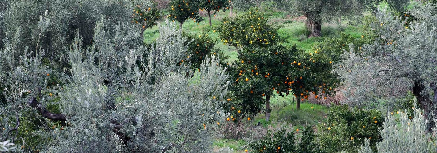 Вдохновение