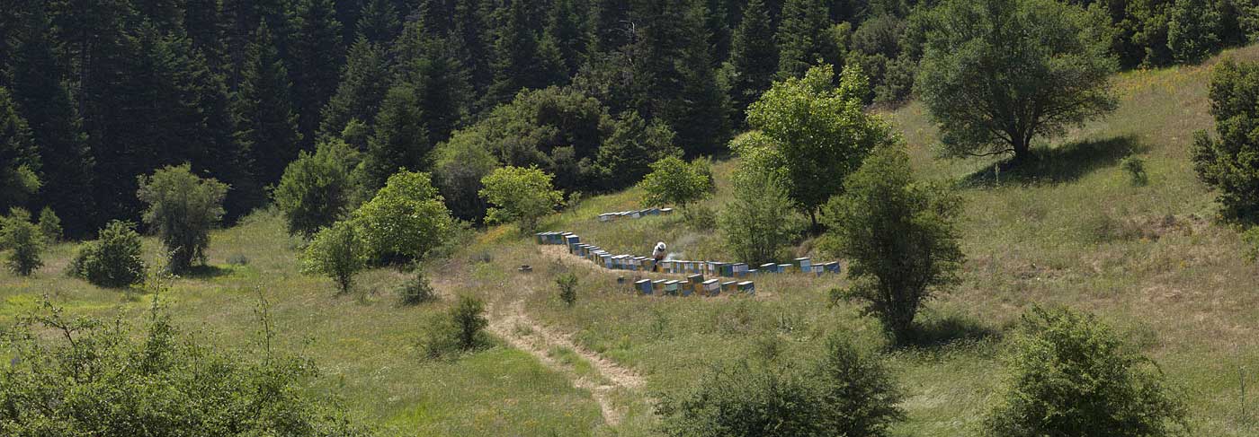 Ответственность