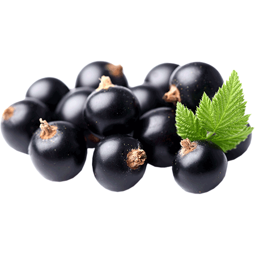 Черная смородина